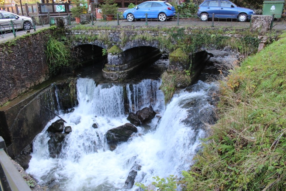 20191125130238_IMG_1291_resized_20200106_091852195