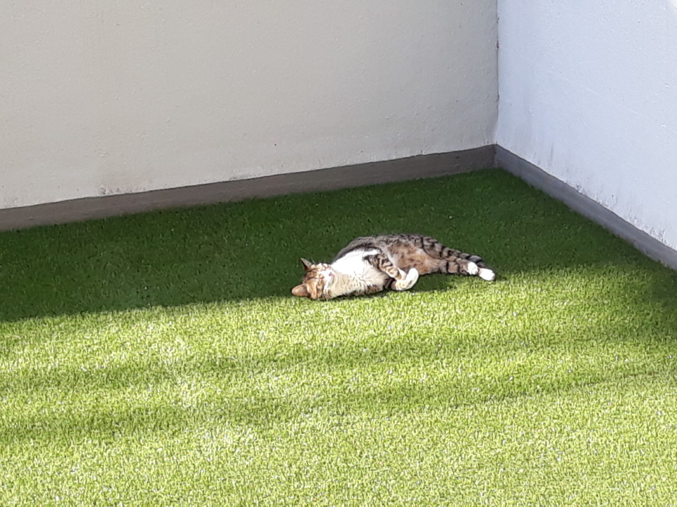 20200314_092015.jpg 20200314_092015.jpg