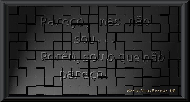 Pareço, mas não sou....jpg