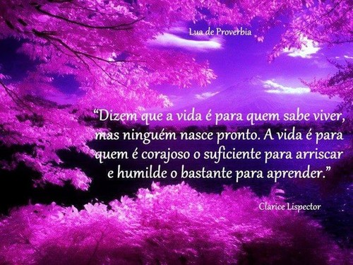Felicidade Felicidade