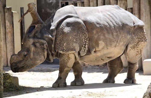 IMG_9532.PNG IMG_9532.PNG