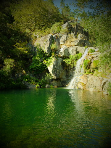 DSCF5498.JPG