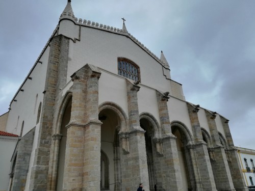 COPYRIGHT O RAPAZ DAS ILHAS