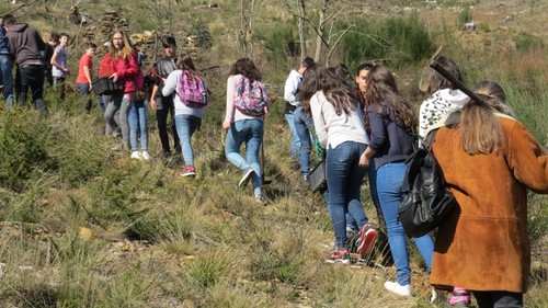 IMG_2894.JPG IMG_2894.JPG