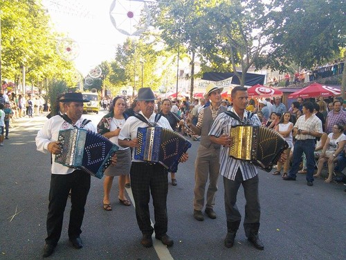 Cortejo 2015 17 Cortejo 2015 17