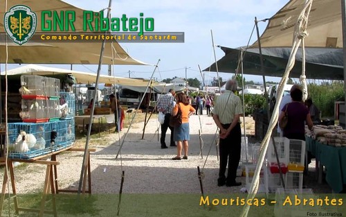 mouriscas feira.jpg mouriscas feira.jpg