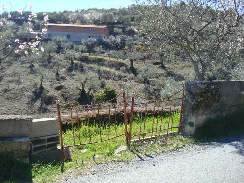 Freixo de Espada à Cinta