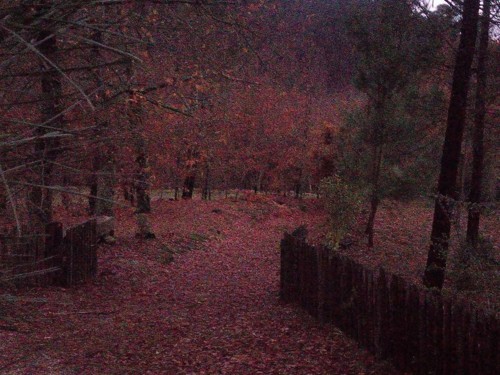 26165990_1545058732246439_5279706961477409867_n.jp