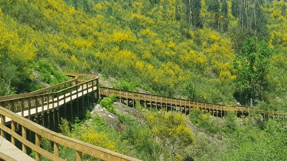 174844230_4332886330055348_3835521623406376240_n.j