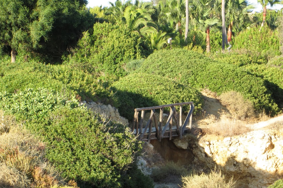 IMG_3849.JPG IMG_3849.JPG