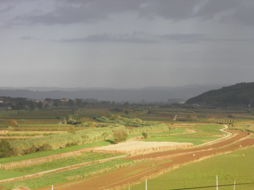 Rio Alcoa- Campos agricolas.JPG