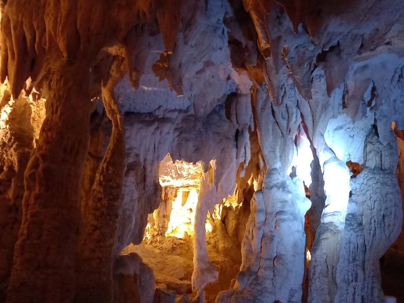 235260081_566604077810442_3569270996909186378_n.jp