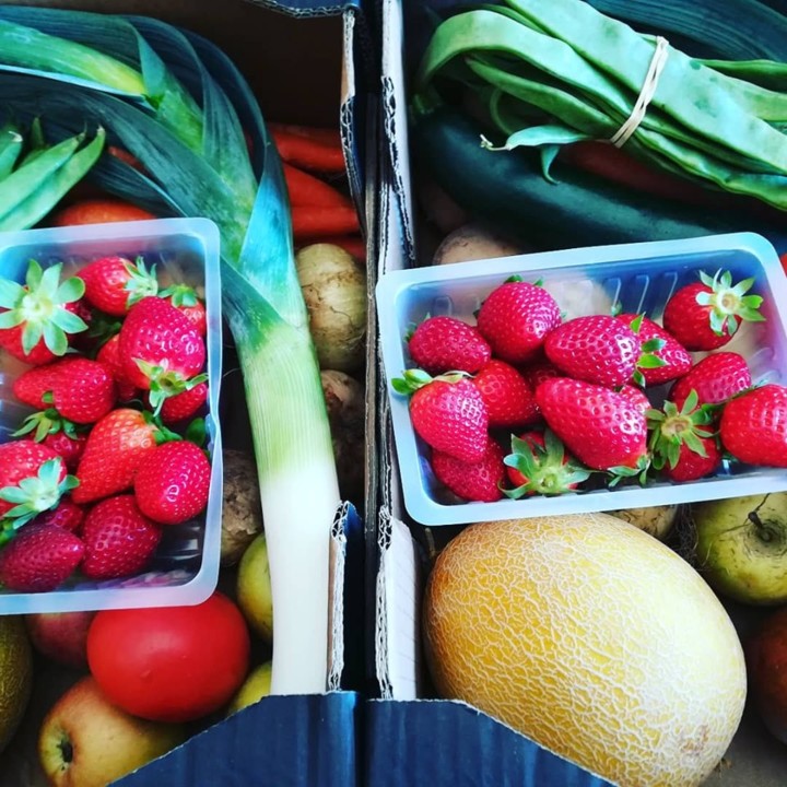 58704266_1358643560942068_8976846969968263168_n.jp