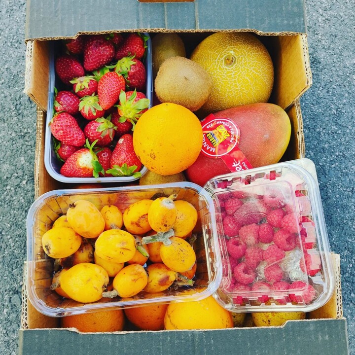 343012658_961525531662374_2096419455394862710_n.jp