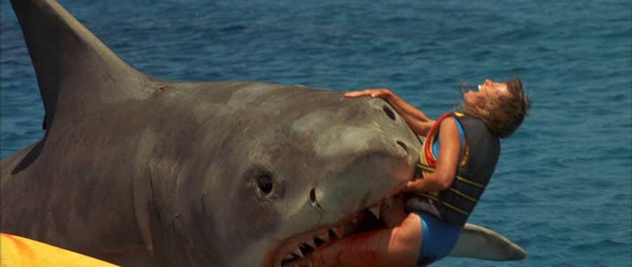 jaws42.jpg