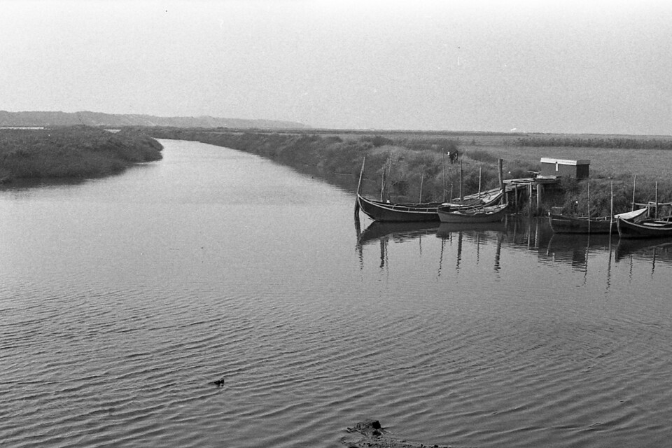 PT_AHMALCS_CMALCS_FOTOGRAFIAS_ 01_ 0714.jpg