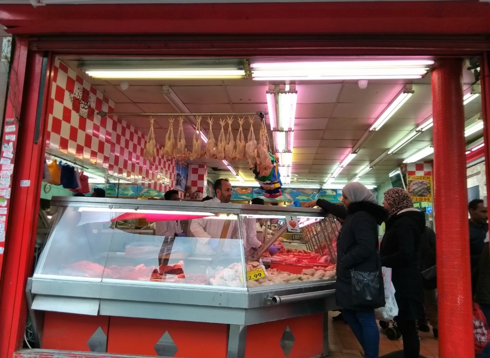 IMG_20190427_141613.jpg IMG_20190427_141613.jpg