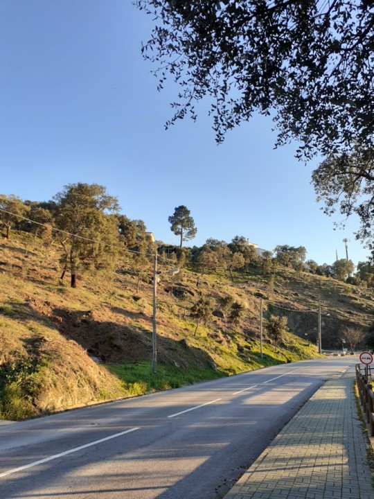 Lado Leste Estrada limpo. Foto Original. 2021.01. jpg