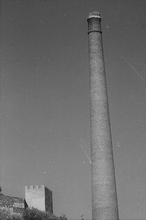 AHMALCS-CMALCS-FOTOGRAFIAS-01-10325_m0001 (2).jpg