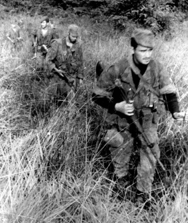 0.233 - Através do capim... zona da Zala.jpg