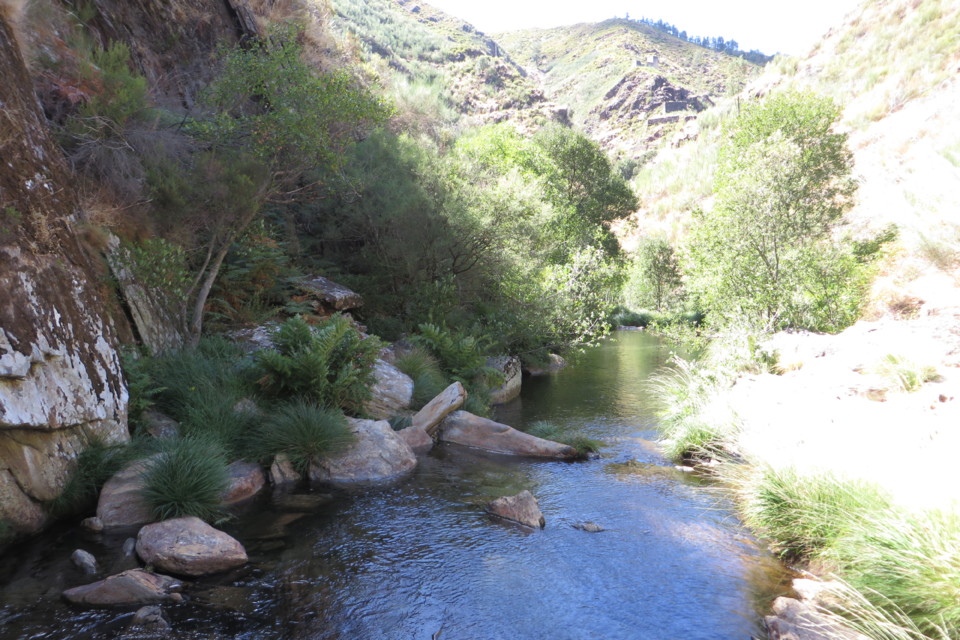 IMG_3540.JPG IMG_3540.JPG