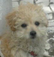 06062010416_001 (5).jpg