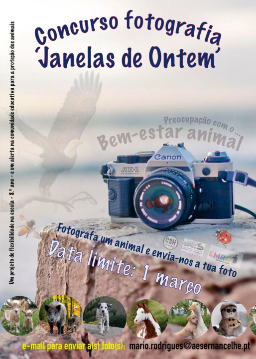 273016989_10221108416799840_8621707836800725249_n.