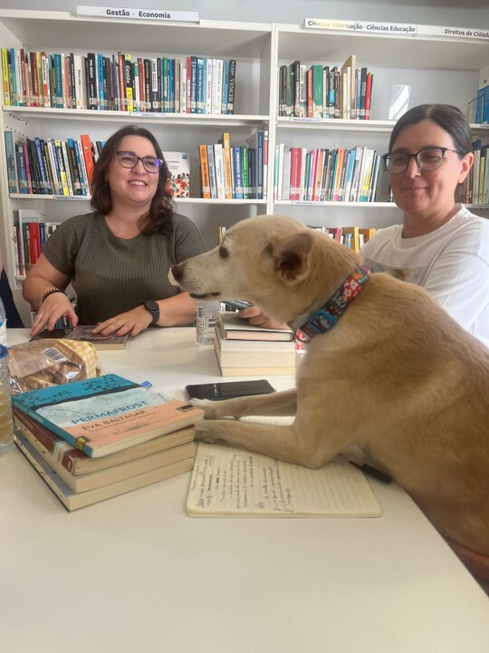 WhatsApp Image 2025-08-26 at 14.53.09.jpeg