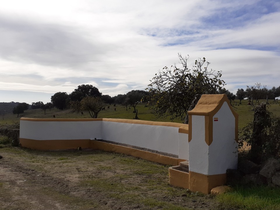 Fonte vista de NE. Foto original. 2021.12.01.jpg