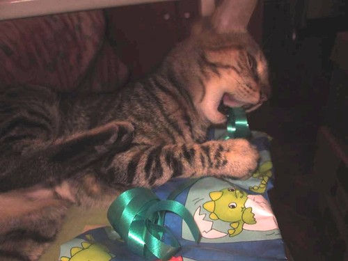 15622573_1827451877526948_4008901167264651687_n.jp