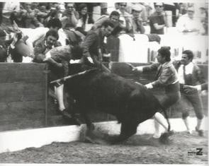 Contra-capa À Barbela.jpg