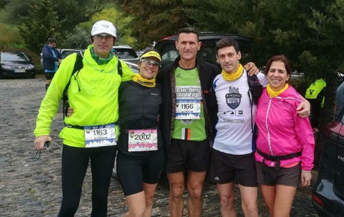 IMG_8996.JPG IMG_8996.JPG