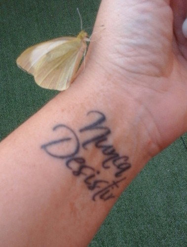 20160815_135416-1.jpg 20160815_135416-1.jpg