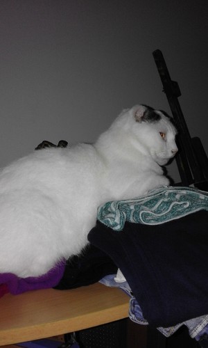 20160501_062107 (1).jpg