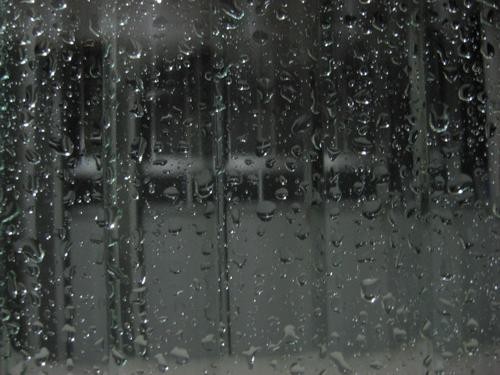 CHUVA DE AGOSTO.jpg CHUVA DE AGOSTO.jpg