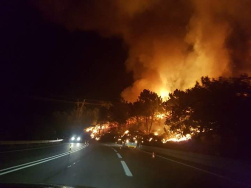 FB_IMG_1508030086018 (1).jpg