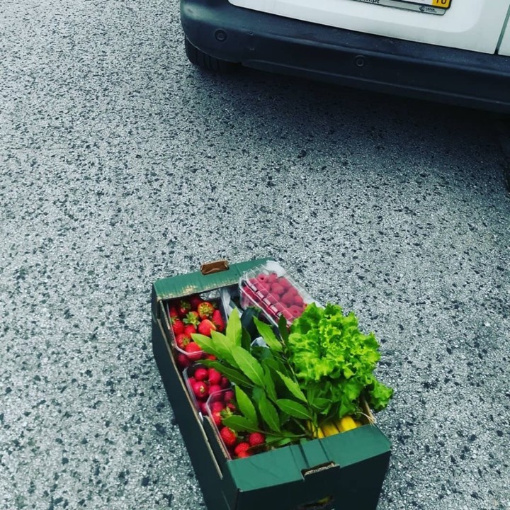 60130501_1364578177015273_2599356250974060544_n.jp