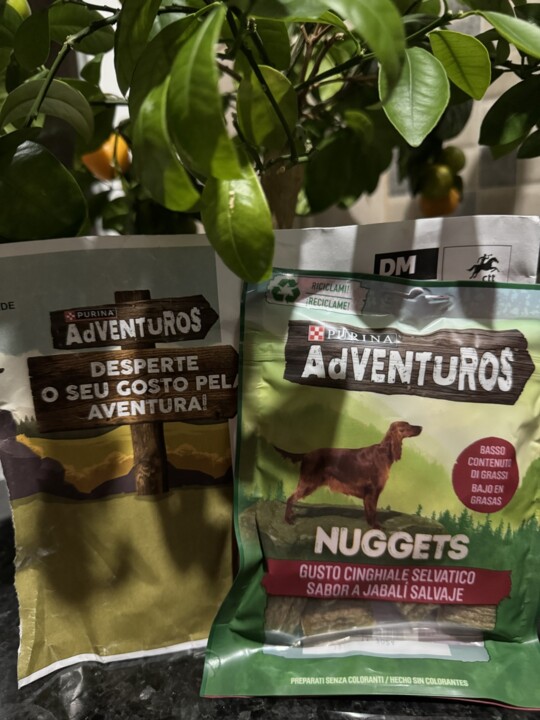 Adventuros.jpg