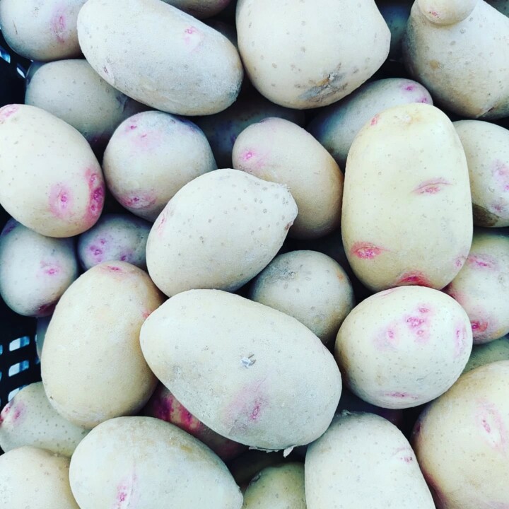 498204735_18478321771066958_2793695027017540146_n.