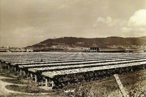 95- seca do bacalhau.jpg