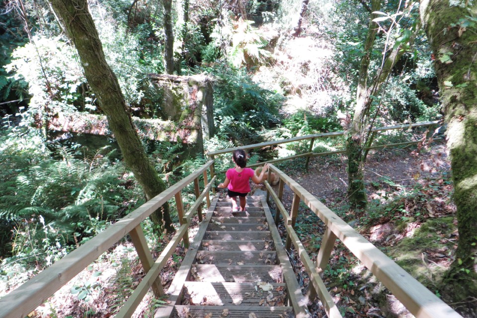 IMG_3057.JPG IMG_3057.JPG