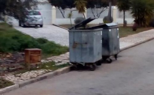 IMG_20190122_085148.jpg IMG_20190122_085148.jpg