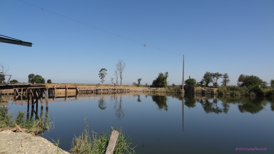 DSC07942.JPG DSC07942.JPG