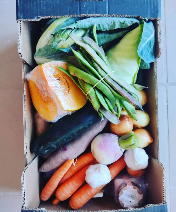 306319093_2406600706146343_6556559792790044273_n.j