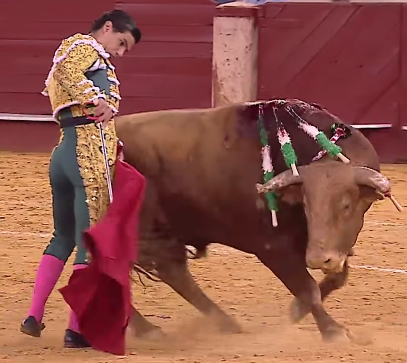 Captura de ecrã 2025-08-29 201143.png