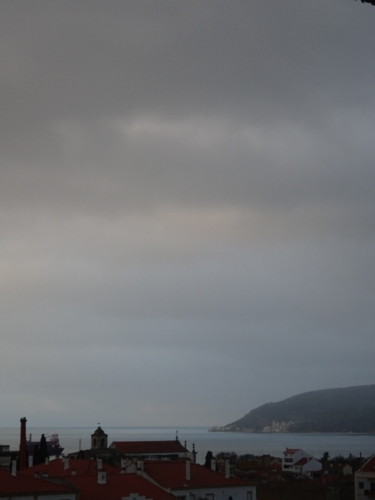DSC00385.jpg