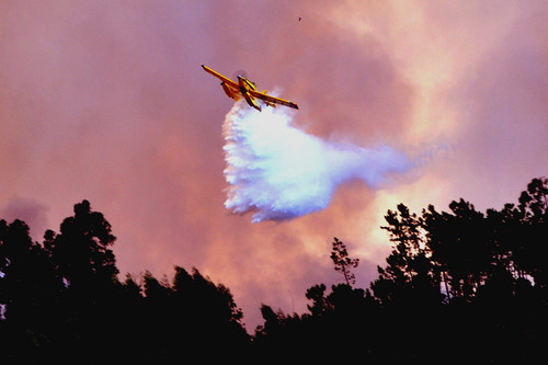 CANADAIR.jpg