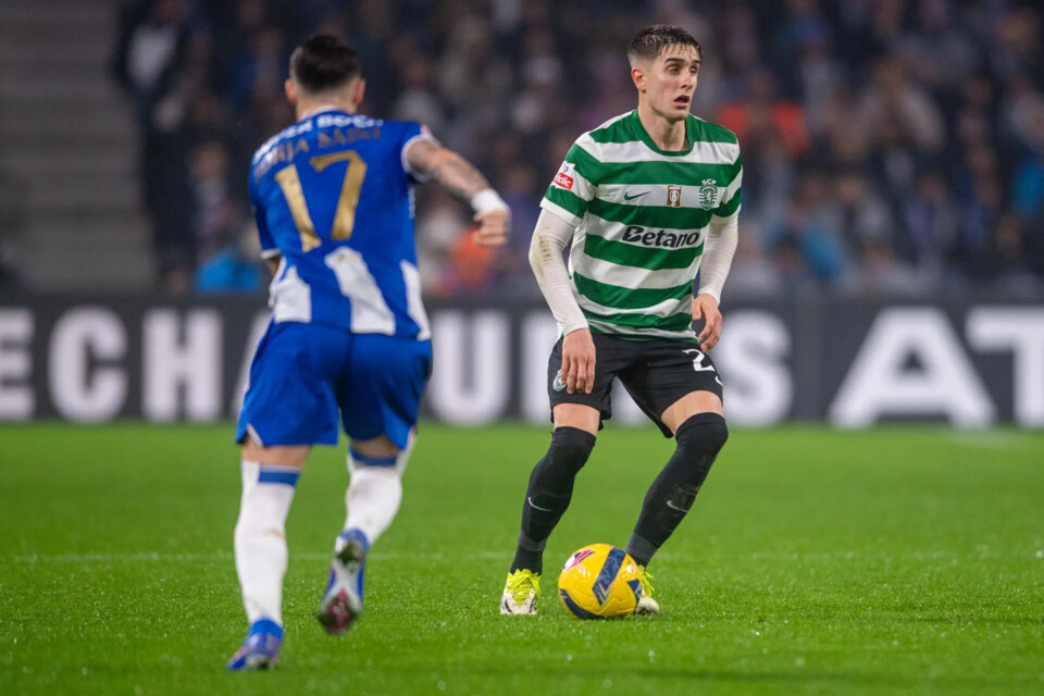 Fresneda dragao.webp