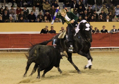 7 - mara pimenta.jpg