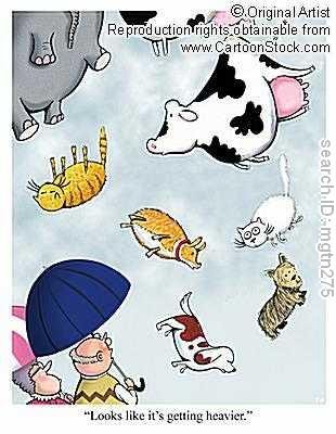 raining vats and dogs